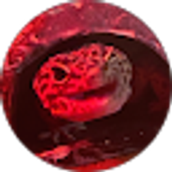 Profile photo of Haley Mikus