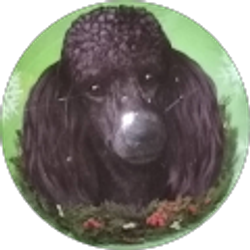 Profile photo of John Bush