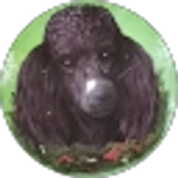 Profile photo of John Bush