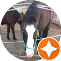 Profile photo of david mcmahon