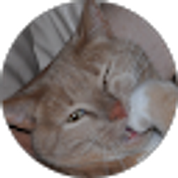 Profile photo of Cindy Kelley