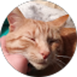 Profile photo of Audrey Gaasch