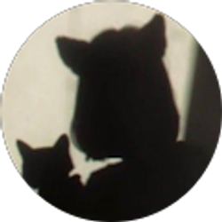 Profile photo of Ana