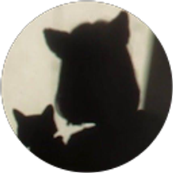 Profile photo of Ana