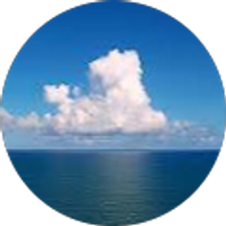 Profile photo of Suzanne Rivera