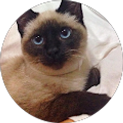 Profile photo of Mari Lowry