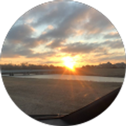 Profile photo of Stacy P