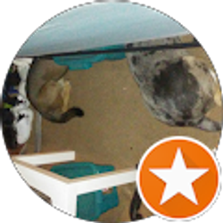 Profile photo of Kiyan