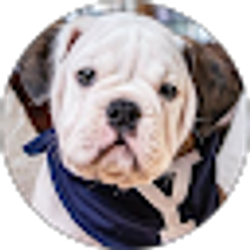 Profile photo of Heather Chandler
