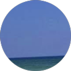 Profile photo of Michael schoenfeld