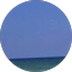 Profile photo of Michael schoenfeld