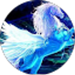 Profile photo of Atchara Mekchay