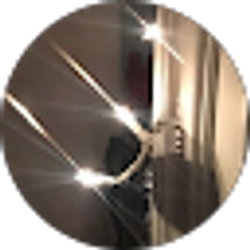 Profile photo of Lexi Plouff