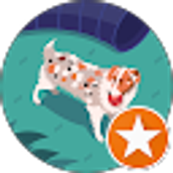 Profile photo of Gina Hernandes