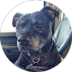 Profile photo of Rachael Anderson