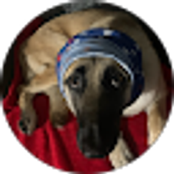 Profile photo of KDOG