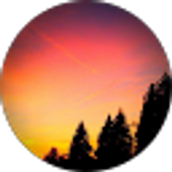 Profile photo of Amy H.