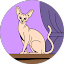 Profile photo of D. S.