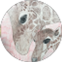 Profile photo of Giraffe Lover