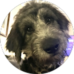 Profile photo of Beverly Franklin-Atkinson