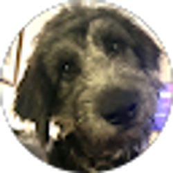 Profile photo of Beverly Franklin-Atkinson
