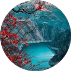 Profile photo of Dominick Braaten