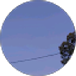 Profile photo of andrew nugent