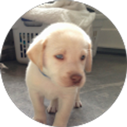 Profile photo of Shawn O'Toole