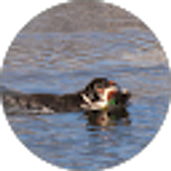 Profile photo of Matthew Cross