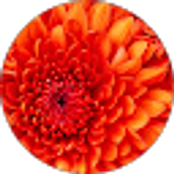 Profile photo of Moira Sweazey