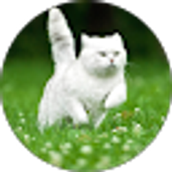 Profile photo of Thu Tran