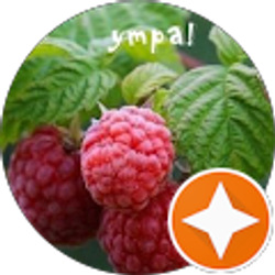 Profile photo of Viktor Viktor