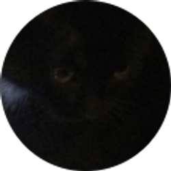 Profile photo of Christine Johnson