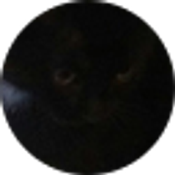Profile photo of Christine Johnson