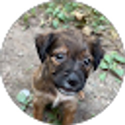 Profile photo of Brittiny
