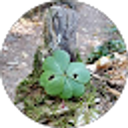 Profile photo of Kayla Q