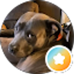Profile photo of Dana Misee