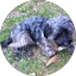 Profile photo of Lenina Williams