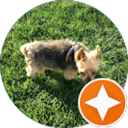 Profile photo of Gary Glandon