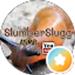 Profile photo of SlumberSlugg ASMR