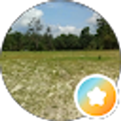 Profile photo of Angus Hill