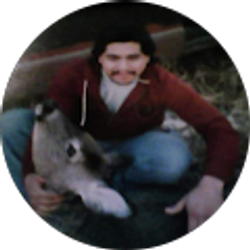 Profile photo of Jesus Lopez