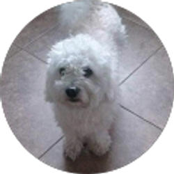 Profile photo of Gregoria Evaristo