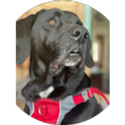 Profile photo of Tiffaney Mudgett