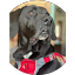 Profile photo of Tiffaney Mudgett