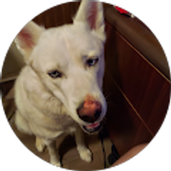 Profile photo of Nicholas Hasenei