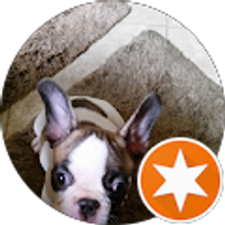 Profile photo of Raj S