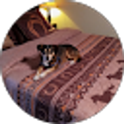 Profile photo of Jose Coronado