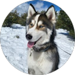 Profile photo of Sandra