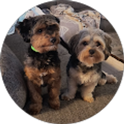 Profile photo of Marcy Biron